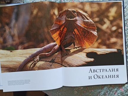 Атлас иллюстрированный 