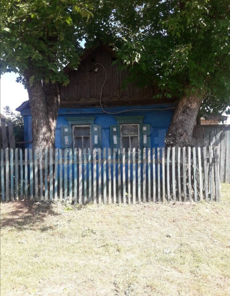 клинцы чемерна. чемерновская сош клинцовского района директор. синековка брянская область. мбоу чемерновская сош. клинцы чемерна.