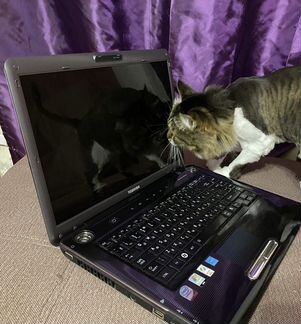 Ноутбук Toshiba Satellite A300-1EC