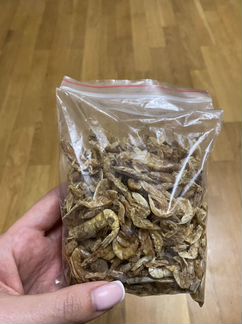 Корм для черепах