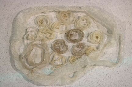 Змеиные выползки