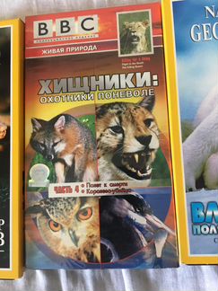 Кассеты видео