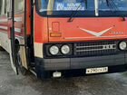 Междугородний / Пригородный автобус Ikarus 256