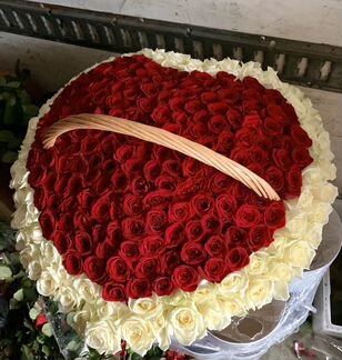 Розы, Букеты Цветы Розы 25 51 101 201 Доставка