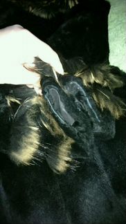 Шуба Jindiafushi