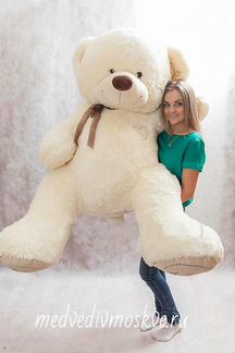 Плюшевый медведь
