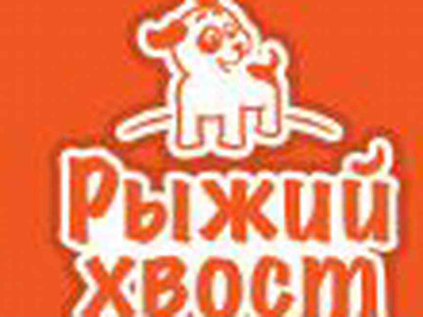 рыжий хвост зоомагазин. рыжий хвост зоомагазин. тц янтарный. рыжий хвост зоомагазин. рыжий хвост зоомагазин.