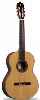 Гитара 8.806 Classical Student Iberia Ziricote