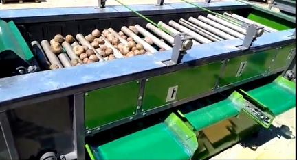 Сортировщик овощей по диаметру Pioro.Grimme,Domasz