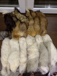 Хвост песец и лиса