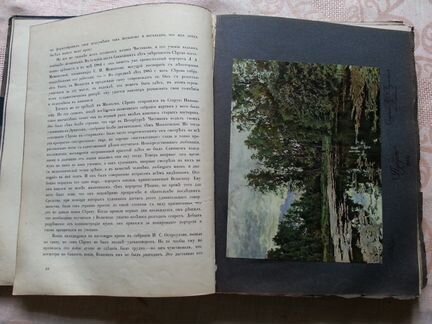 В. А. Серов. Жизнь и творчество. 1911 г