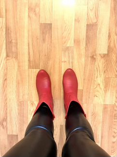 Сапоги новые, нат.кожа, 38р, стопа 24,5см