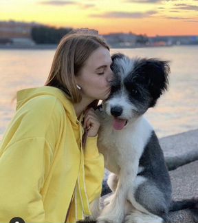 Выгул собак / передержка / ситтинг