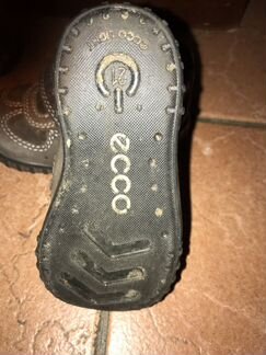 Кроссовки Timberland Ecco Новые